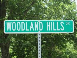 los angeles california seal